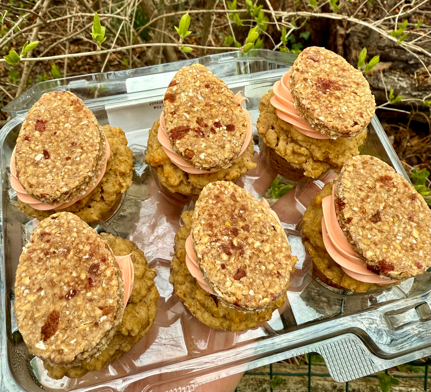 Organic Speckled Strawberries & Cream Mini Pupcakes