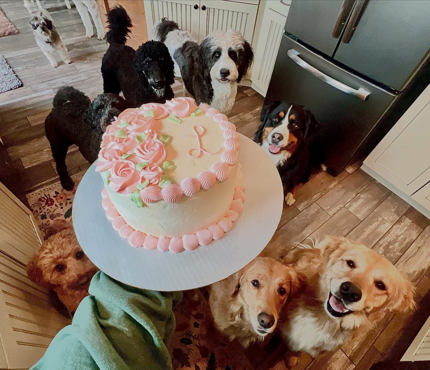 Organic 6-inch Layer Cake