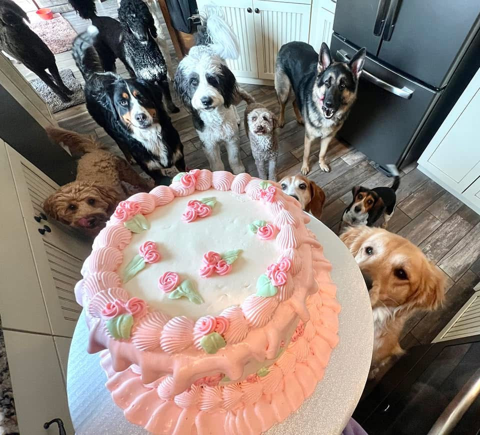Organic 6-inch Layer Cake