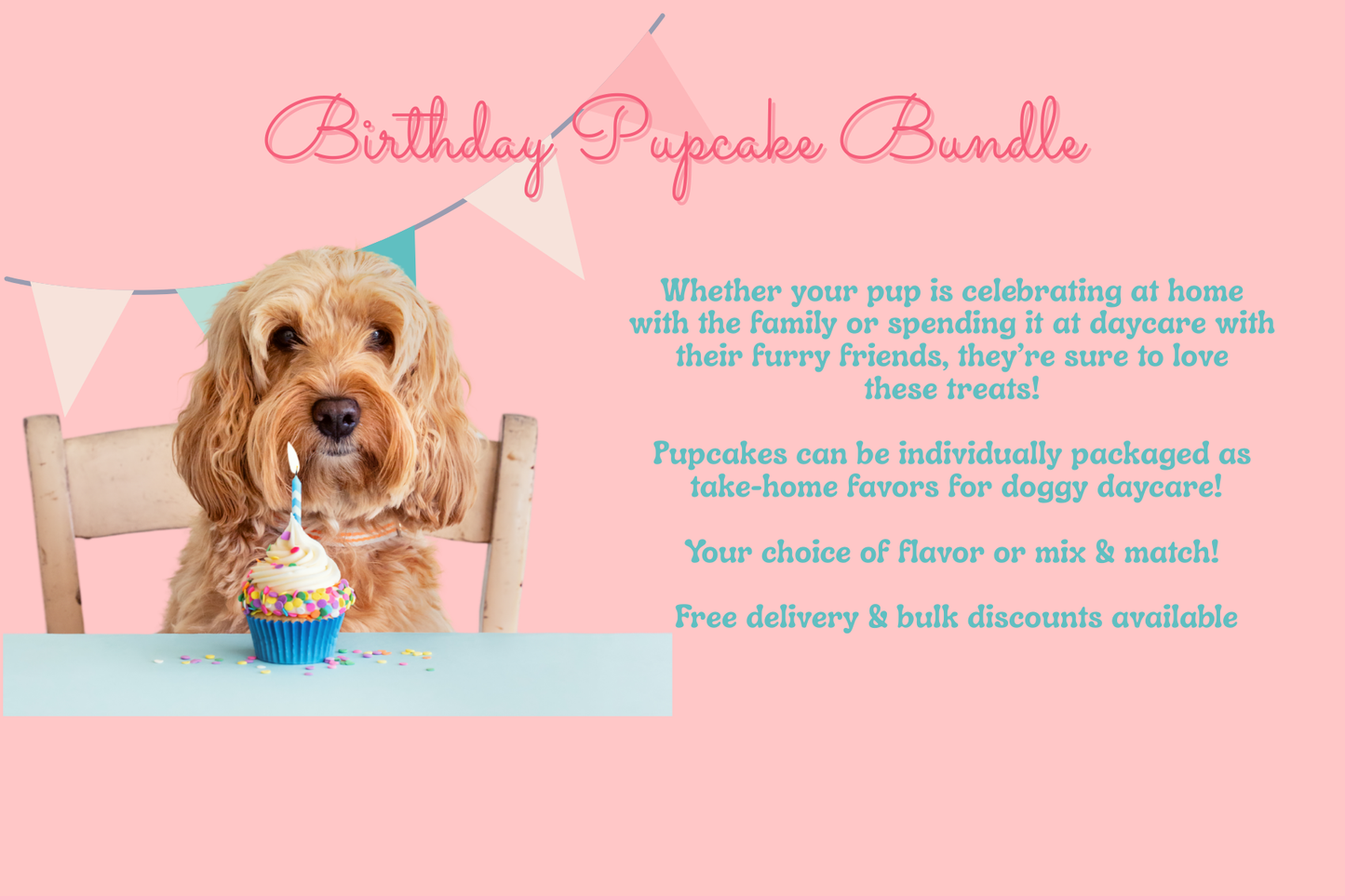Birthday Pupcake Bundle