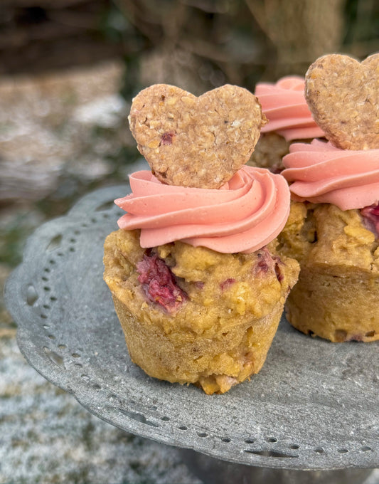 Organic Strawberries & Cream Mini Pupcakes